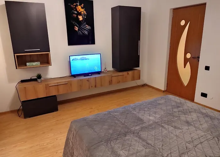 Cozy Apartment Craiova